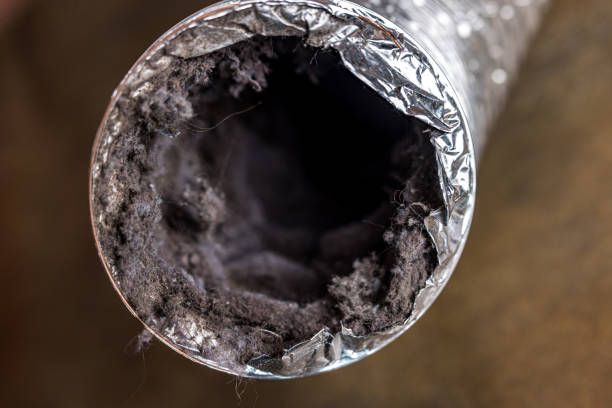 Best Local Air Duct Cleaning Services  in Jackson, MO