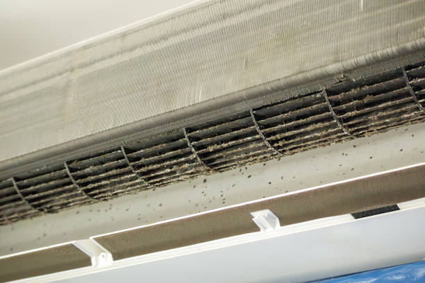 Best Air Duct Cleaning Company Near Me  in Jackson, MO